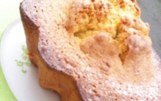 tourte-des-pyrenees