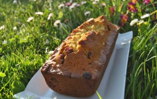 cake-aux-cranberries-aux-noix-et-au-miel