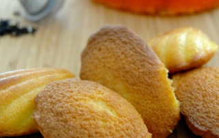 madeleines de reve