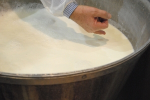 bassine moulage camenbert my girly popotte