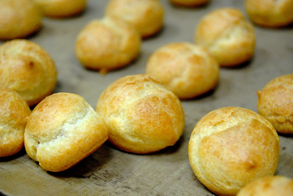 royalty-choux-3872x2592