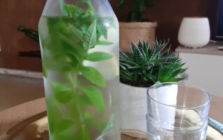 eau-aromatisee-verveine-citron